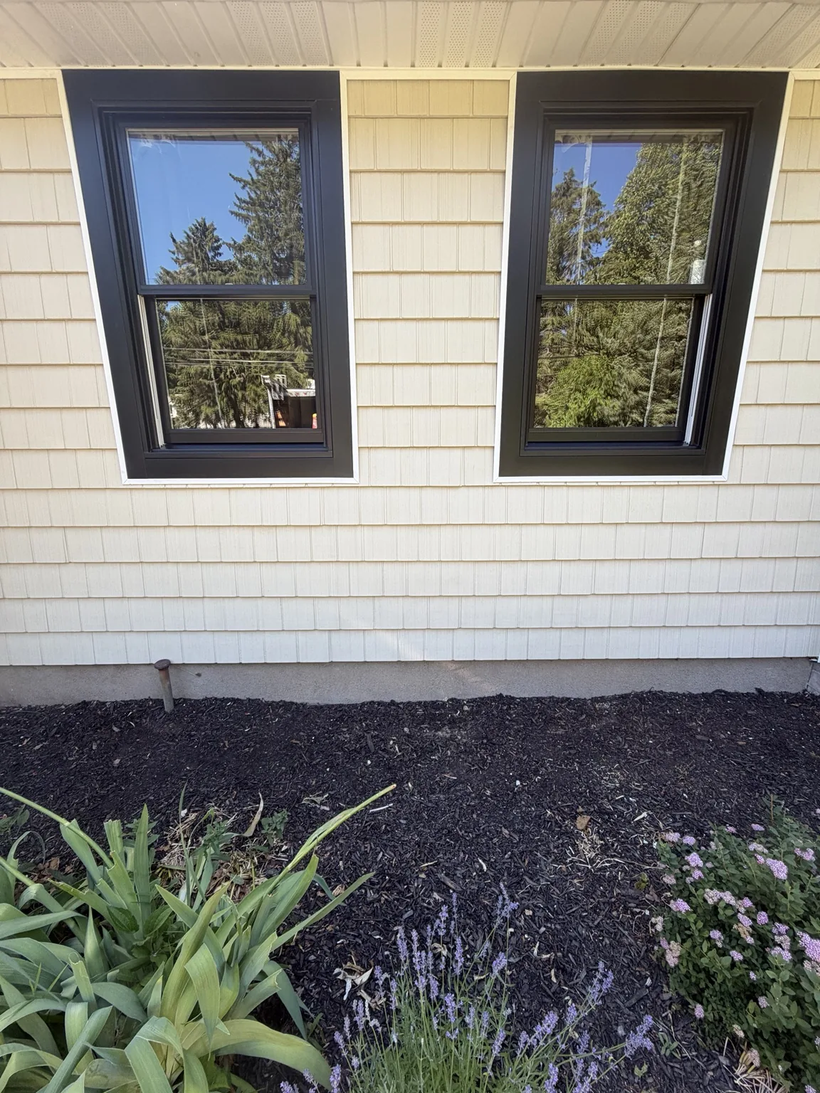 Black replacement windows
